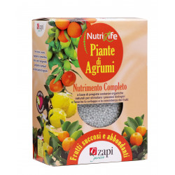 Zapi agrumi granulare 1 kg