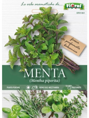 Fioral menta piperita