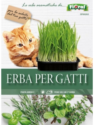Fioral erba per gatti