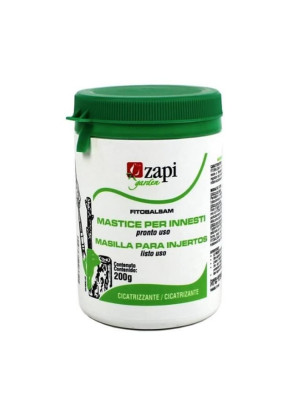 Zapi mastice gr 200