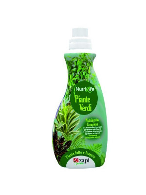 Zapi nutrilife piante verdi liquido 1 lt