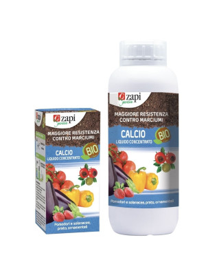 Zapi calcio Bio concentrato 1 kg