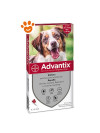 Advantix spot-on per cani oltre 10 kg fino a 25 kg