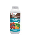 Zapi Concime rame flow con zolfo 1 lt