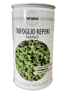 Trifoglio nano mix barattolo 500 gr