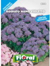 Fioral agerato nano violetto