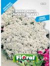 Fioral alisso nano tappeto di neve