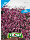 Fioral alisso nano violetto