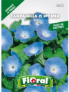 Fioral campanella ipomea blu