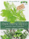 Fioral finocchio selvatico