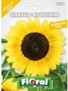 Fioral girasole moonshine