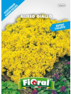 Fioral alisso giallo