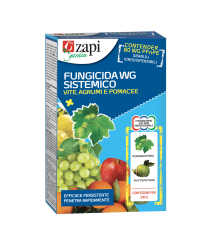 Zapi fungicida sistemico gr 200