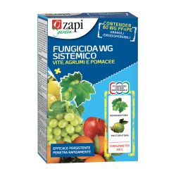 Zapi fungicida sistemico gr 200