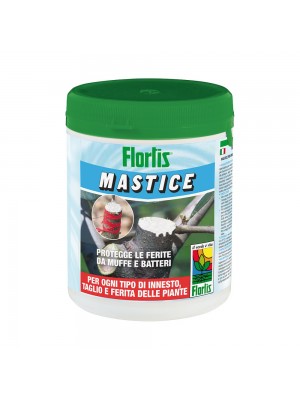 Flortis mastice cicatrizzante 500 gr