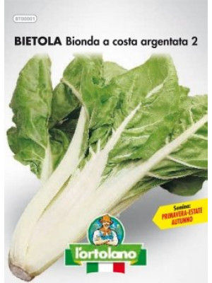 Bietola bionda a costa argentata