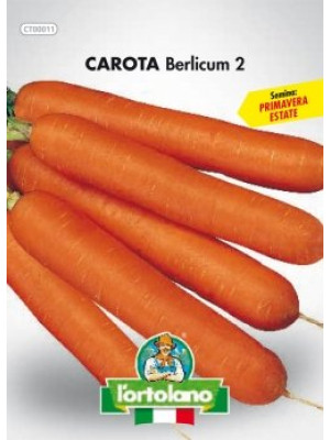 Carota Berlicum 2
