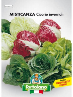 Misticanza cicorie invernali barattolo 500  gr