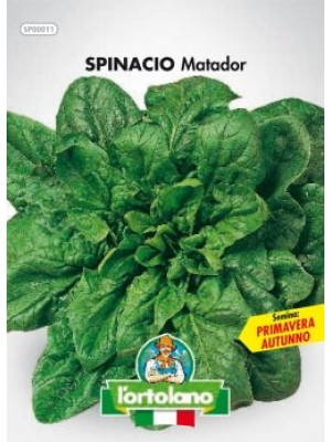 Spinacio matador