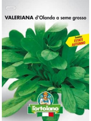 Valeriana d'Olanda