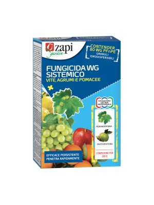 Zapi fungicida sistemico gr 200