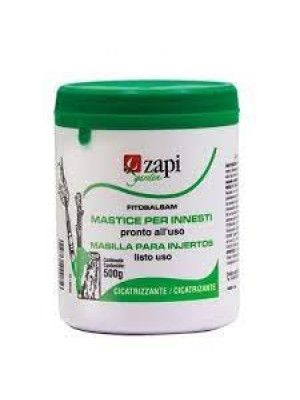 Zapi mastice gr 500