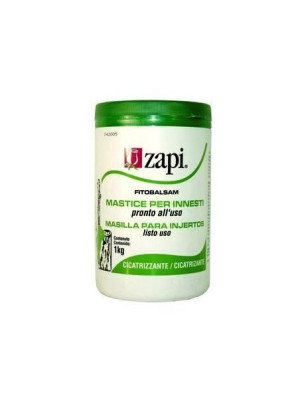 Zapi mastice kg 1