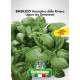 Basilico ligure ex genovese