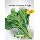Bietola liscia verde da taglio