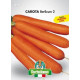 Carota Berlicum 2