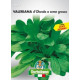 Valeriana d'Olanda