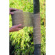 Fascia per tronco albero gr. 750