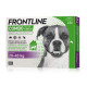 Frontline combo cane kg 20/40 3 pipette